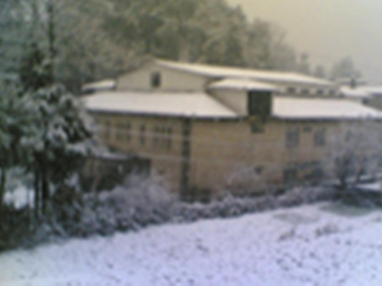 Langdale Manor Hotell Nainital Exteriör bild